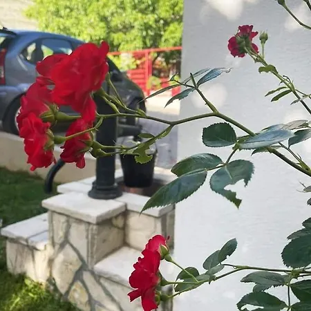 Ratkovic * טרביניה