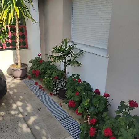 דירה Ratkovic טרביניה